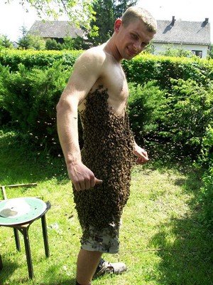 Jarosław Gerczak Żywy pancerz z pszczół na ciele człowieka