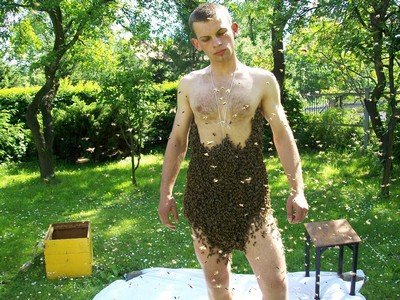 Jarosław Gerczak Żywy pancerz z pszczół na ciele człowieka