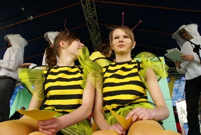 VI Lubelskie Miodobranie - pszczelowolskie Pszczółki