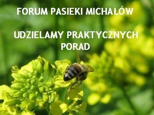 Forum Pszczelarskie Pasieki Michałów