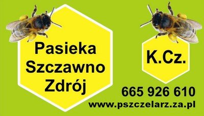 logo_kazimierz_czechowski