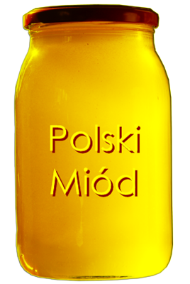Miód polski fot. Małanowski PszczeliPark