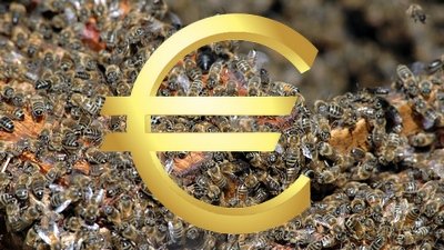 Dzięki pszczołom Unia zyskuje 15 mld euro fot.malanowski photography