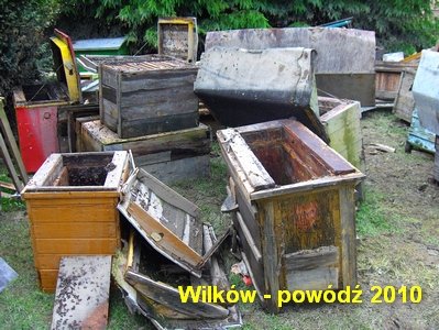 wilkow_2010